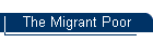 The Migrant Poor