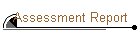 Assessment Report